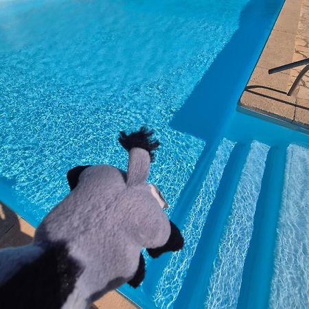 Havre De Paix Appart Climatise,Piscine,Wifi Le Barcarès Esterno foto