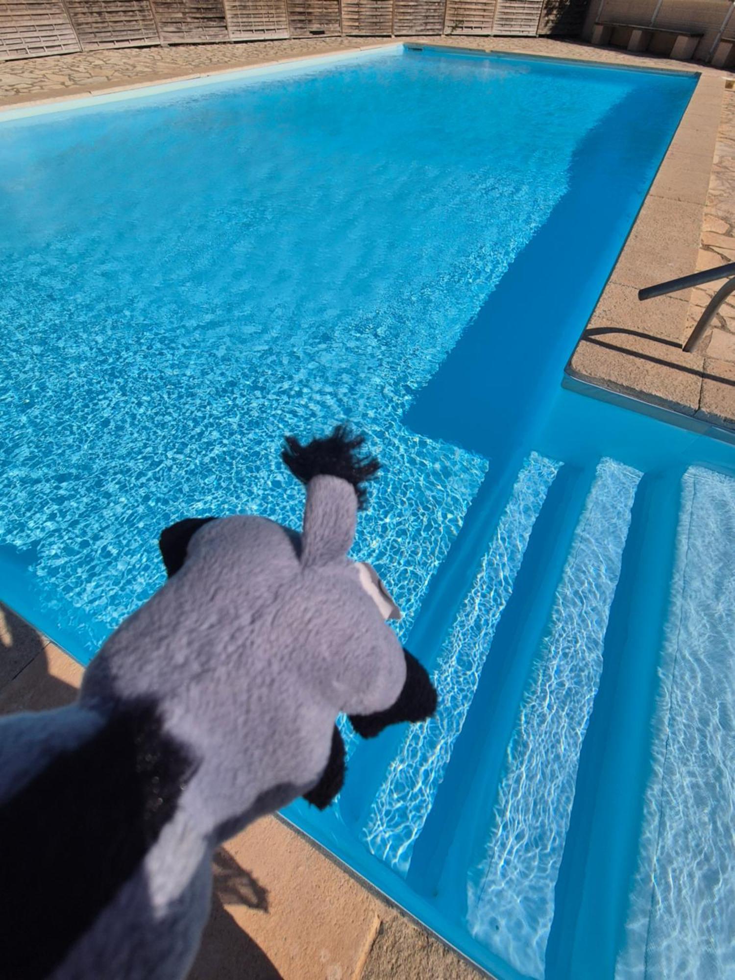 Havre De Paix Appart Climatise,Piscine,Wifi Le Barcarès Esterno foto